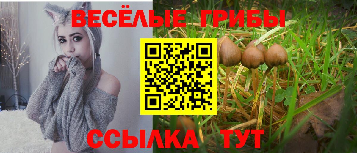 Сорочинск  Галлюциногенные грибы GOLDEN TEACHER  Галлюциногенные грибы ЛСД  Вход с VPN 