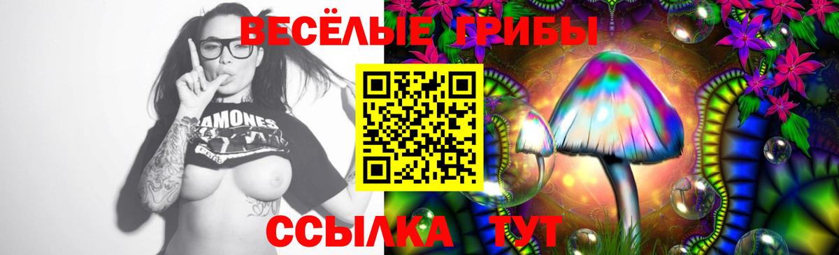 Галлюциногенные грибы мицелий Сорочинск